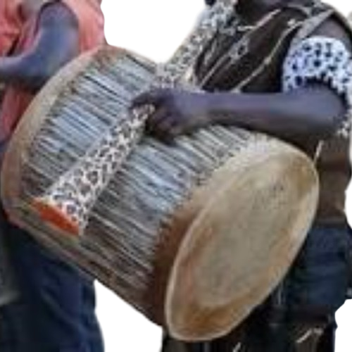 Indigenous musical instrument