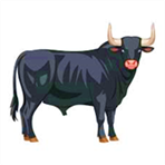 Bull