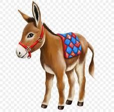 Donkey