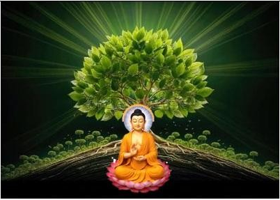 Peepal Tree Option 1
