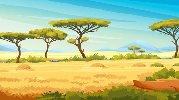 Grassland