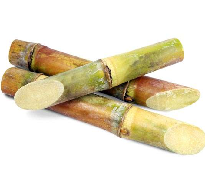 Sugracane